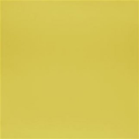 Acacia
