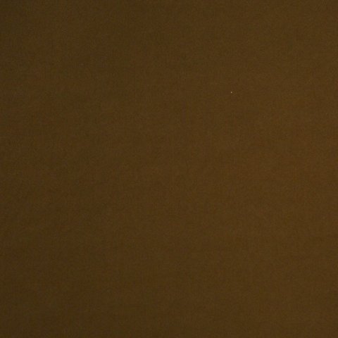 CALM WALNUT