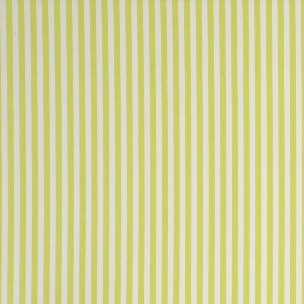 PARTY STRIPE - CITRUS