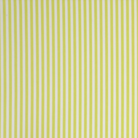 PARTY STRIPE - CITRUS