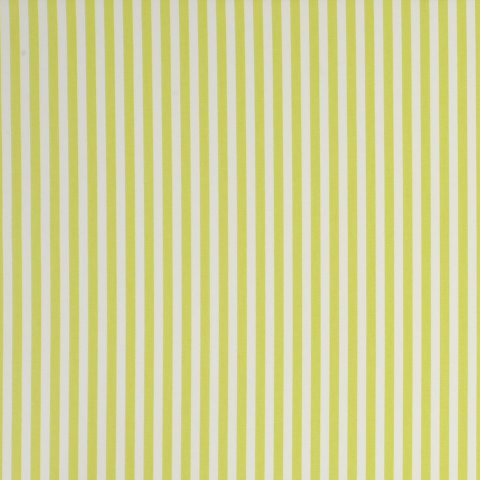 PARTY STRIPE - CITRUS