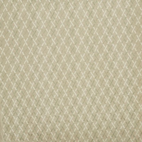 Willow Basil