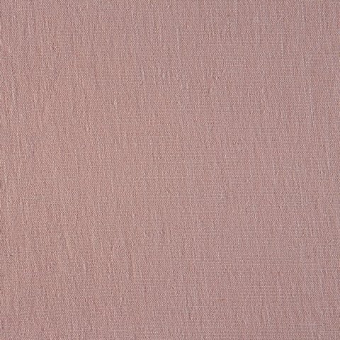Nordic Carnation