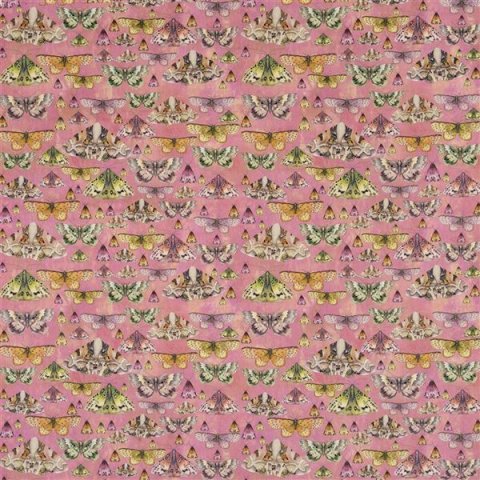 ISSORIA - ROSE