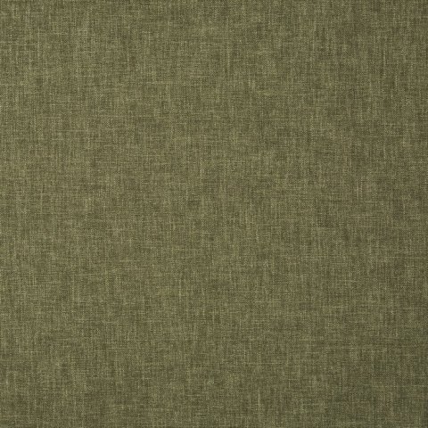Oslo Fern