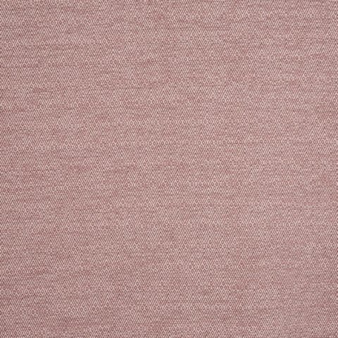 Fretwork Woodrose