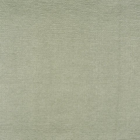 Mystery Willow