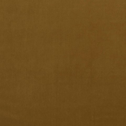 ALVAR TURMERIC