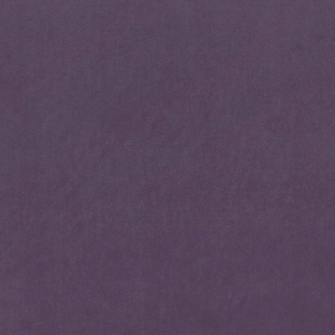 ALVAR GRAPE