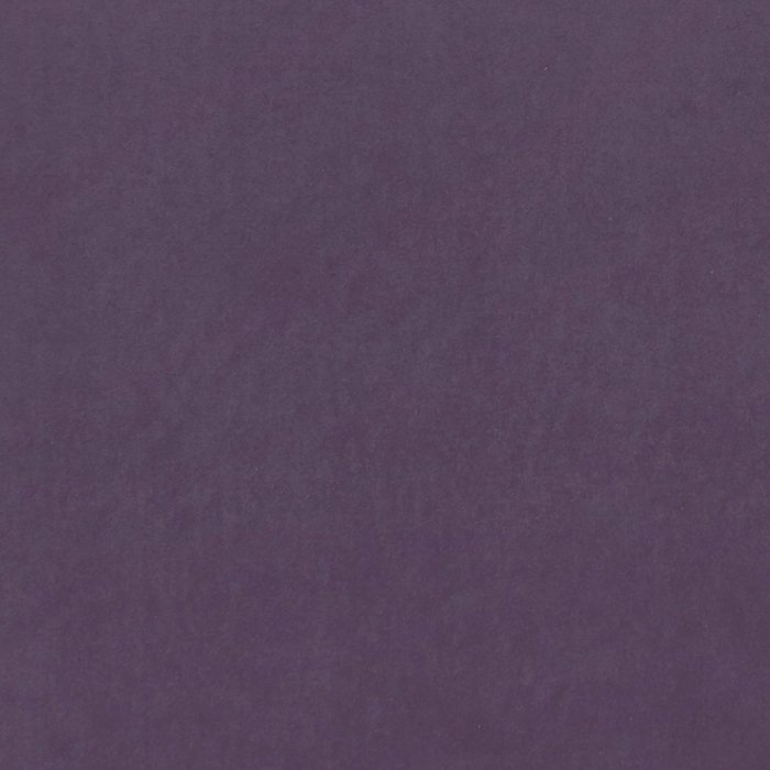 ALVAR GRAPE