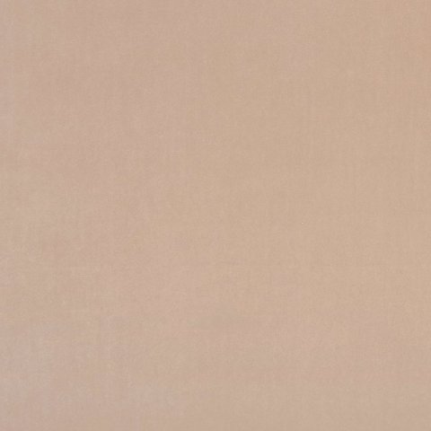 ALVAR NUDE