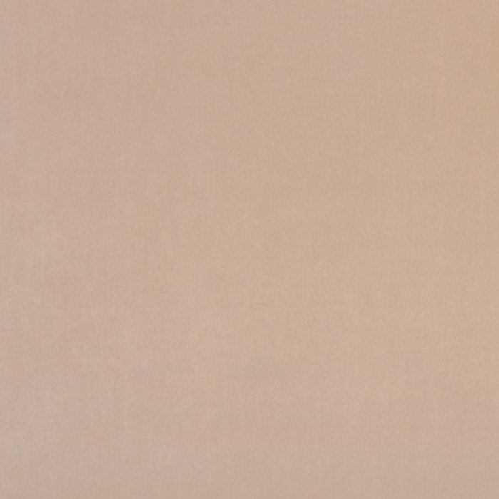 ALVAR NUDE