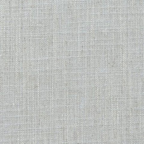 SEAGULL