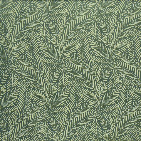 Acoustic Palm