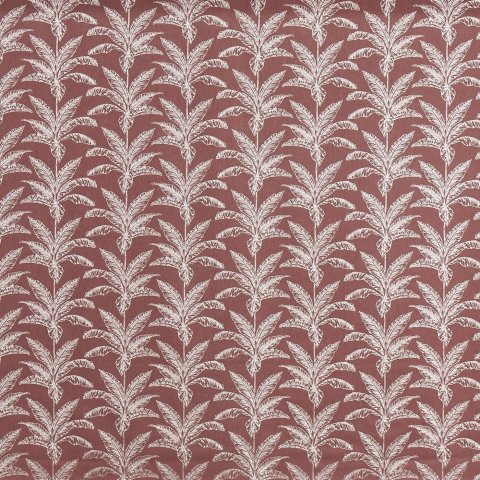 Allegro Juniper