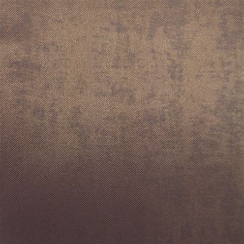 CANZO - SPICE