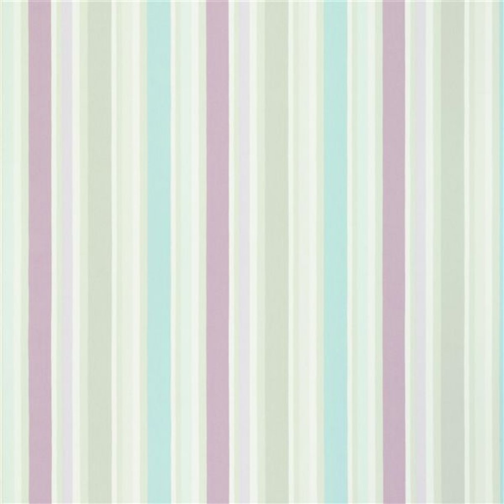 STRIPE - COCRUS