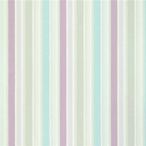 STRIPE - COCRUS